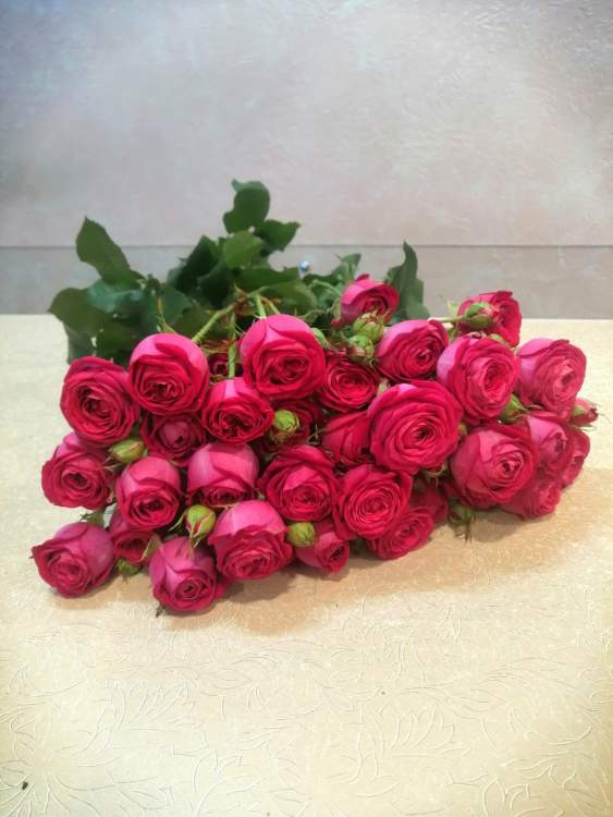 Купить Охапка кустовых роз (пионовидные, бомбастик). в интернет-магазине Праздник цветов и подарков с доставкой по Хабаровску недорого.