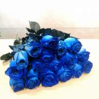 Розы экзотика (синие).