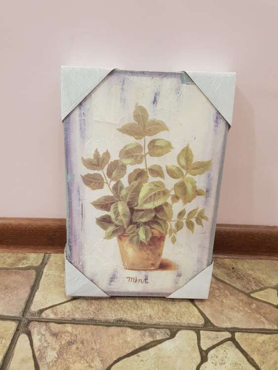 Купить Панно " горшечные растения". в интернет-магазине Праздник цветов и подарков с доставкой по Хабаровску недорого.