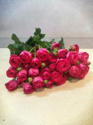 Купить Охапка кустовых роз (пионовидные, бомбастик). в интернет магазине Праздник цветов и подарков по доступной цене. Заказать
        Охапка кустовых роз (пионовидные, бомбастик). недорого с доставкой по Хабаровску.