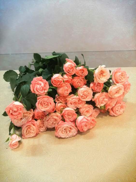 Купить Охапка кустовых пионовидных роз (Мадам Бомбастик ). в интернет-магазине Праздник цветов и подарков с доставкой по Хабаровску недорого.