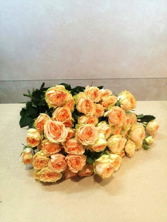 Купить Охапка кустовых пионовидных роз (Холли). в интернет-магазине Праздник цветов и подарков с доставкой по Хабаровску недорого.