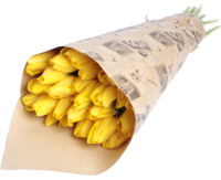 Купить Букет "желтые тюльпаны" в интернет магазине Праздник цветов и подарков по доступной цене. Заказать Букет "желтые тюльпаны" недорого с доставкой по Хабаровску.