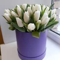 Шляпная коробка с белыми тюльпанами.