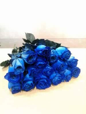 Купить Розы экзотика (синие). в интернет магазине Праздник цветов и подарков по доступной цене. Заказать
        Розы экзотика (синие). недорого с доставкой по Хабаровску.
