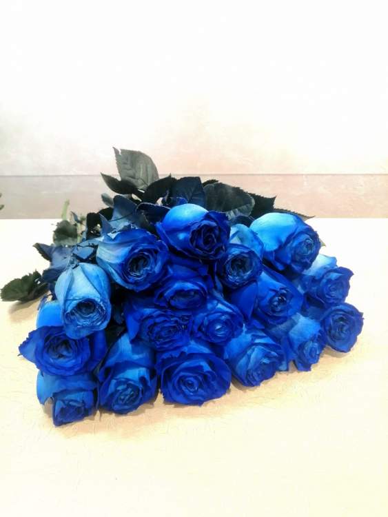 Купить Розы экзотика (синие). в интернет-магазине Праздник цветов и подарков с доставкой по Хабаровску недорого.
